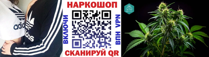 APVP Разумное