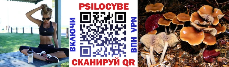 купить наркоту Разумное Галлюциногенные грибы GOLDEN TEACHER